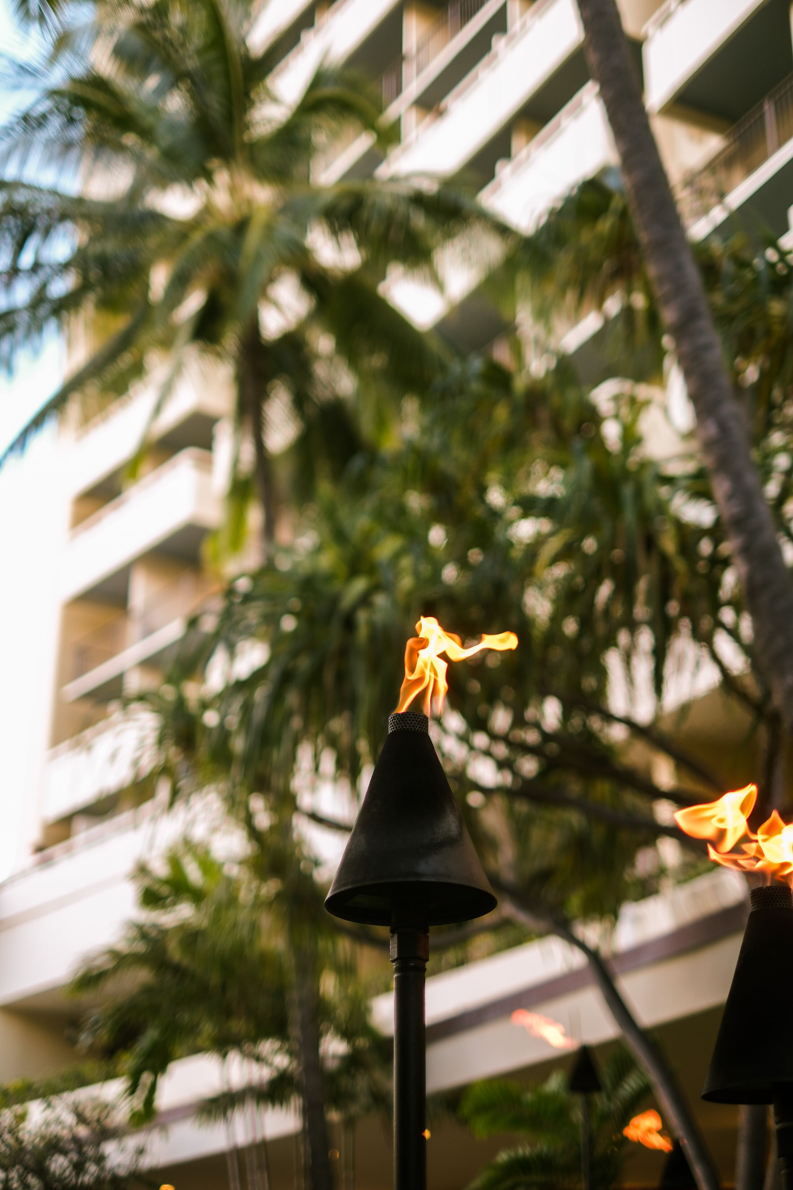 Tiki Torch for Every Occasion: A Guide to Choosing the Right Torch for Your Needs